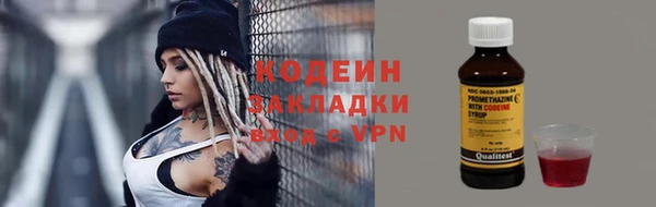 гидра Корсаков