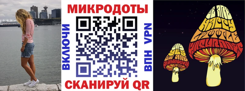 Купить  Рубцовск  Псилоцибиновые грибы MAGIC MUSHROOMS 